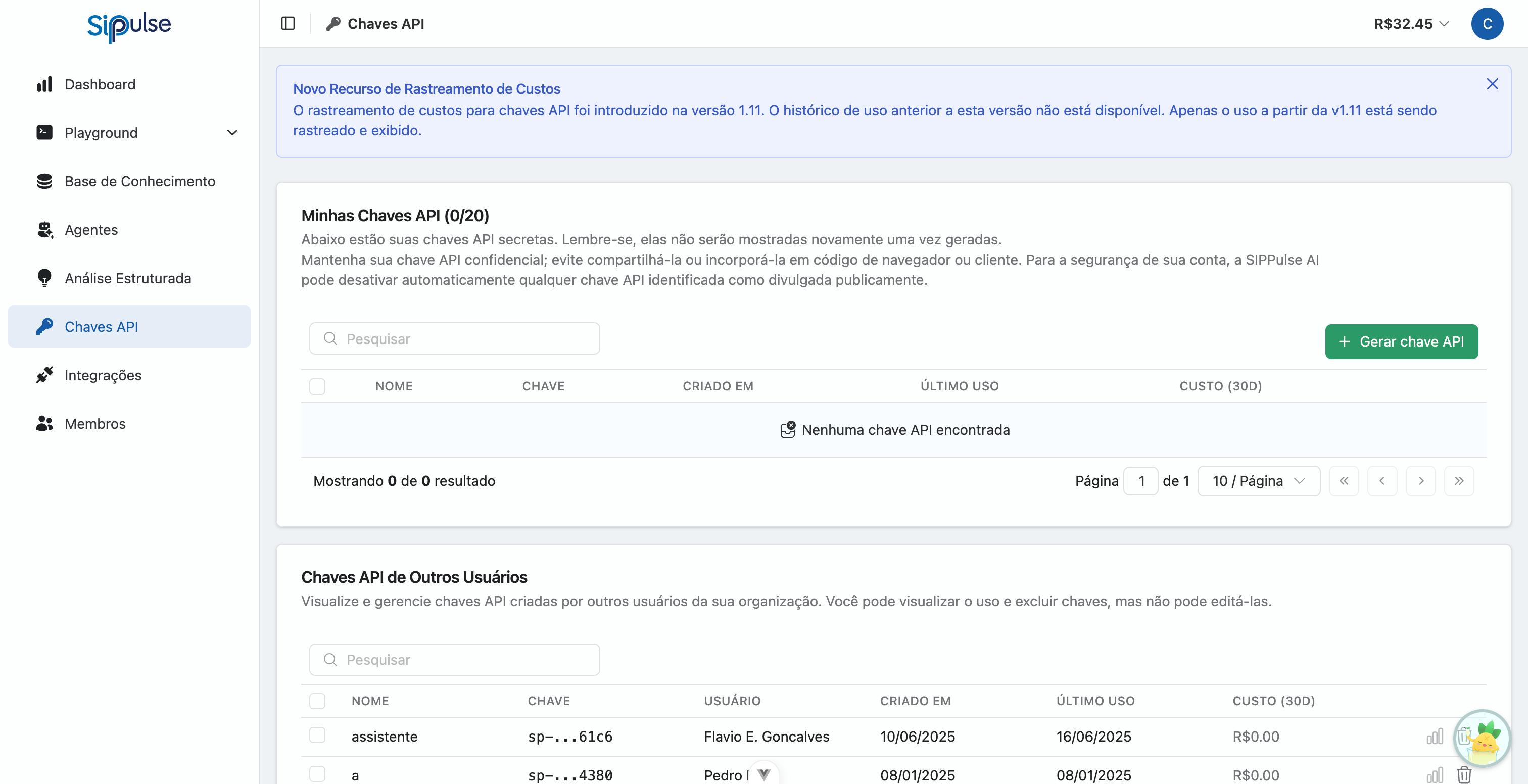 Página de Chaves API