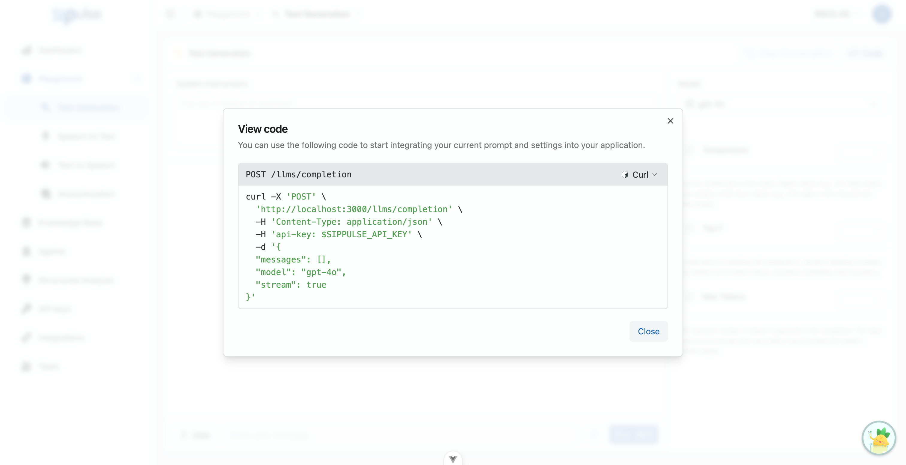Playground View Code Modal